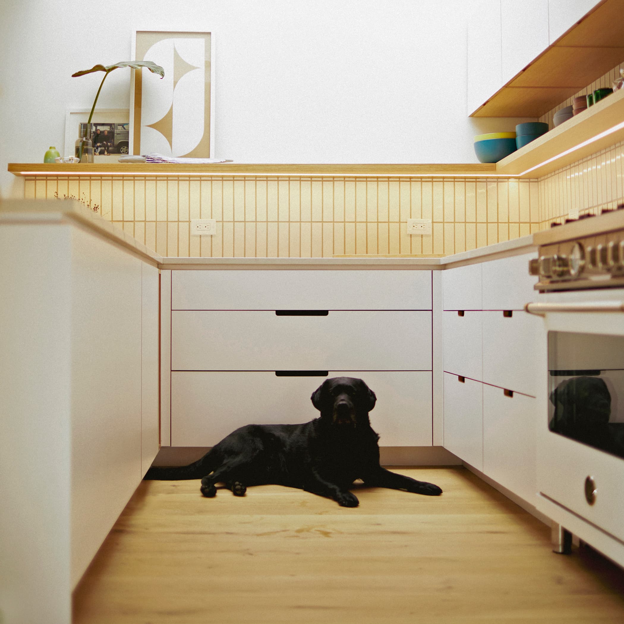 Outer Sunset Kitchen — photograph 3